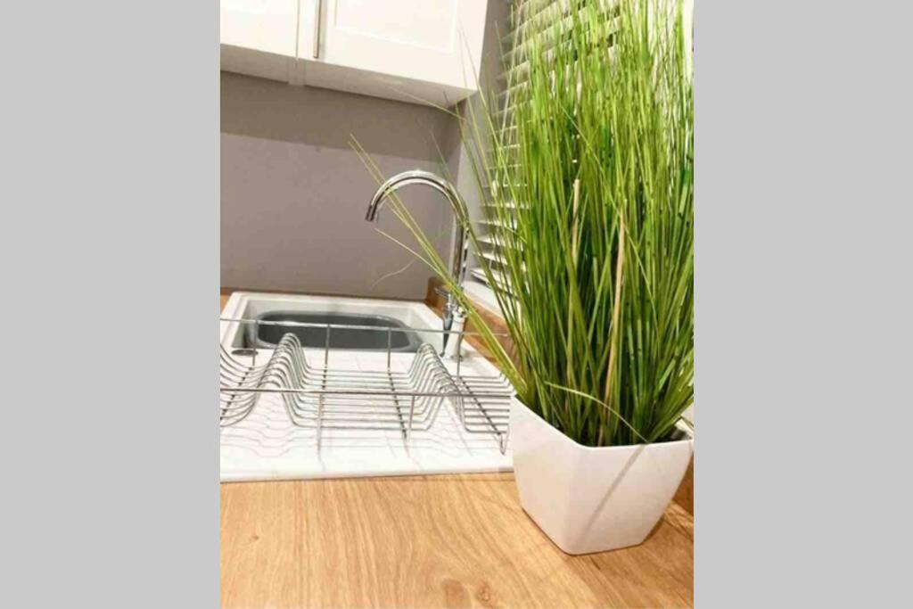 The Terrace Chester, Modern 3 Bed House Exteriör bild